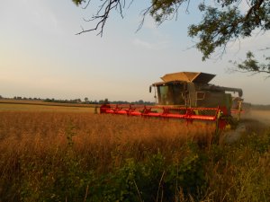 Claas Lexion 600