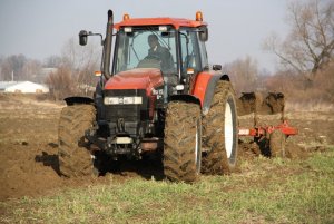 New Holland M135 + Unia Ibis