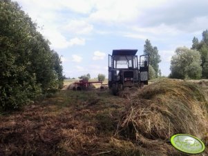 Massey Ferguson 255 + Zgrabiarka 5 .