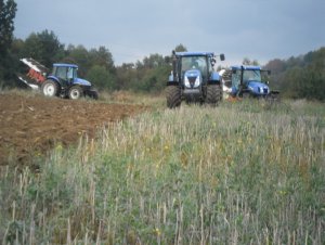 New Holland t7030 & 6.175 & td5050