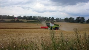 Claas Lexion