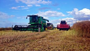 John Deere W540 & Bizon Z056 & Claas Dominator 98