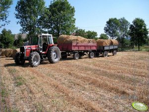 Massey Ferguson 699