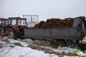 Massey Ferguson 255