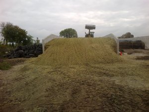 Silos z kukurydzą