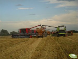 Massey Ferguson & Class 