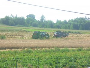 Ursus 1014 + Przyczepy i John Deere + Prasa