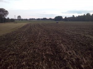 Pole po uprawie kultywatorem