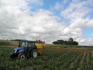 New Holland T4020 + Pilmet 815 XL