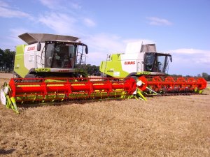Clasas Lexion 660x2