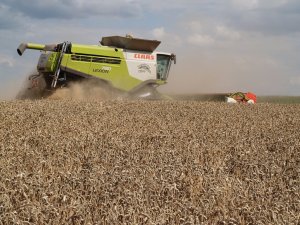 Claas Lexion 780 TT