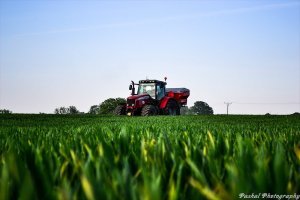 Massey Ferguson 6480