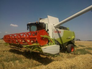 Claas