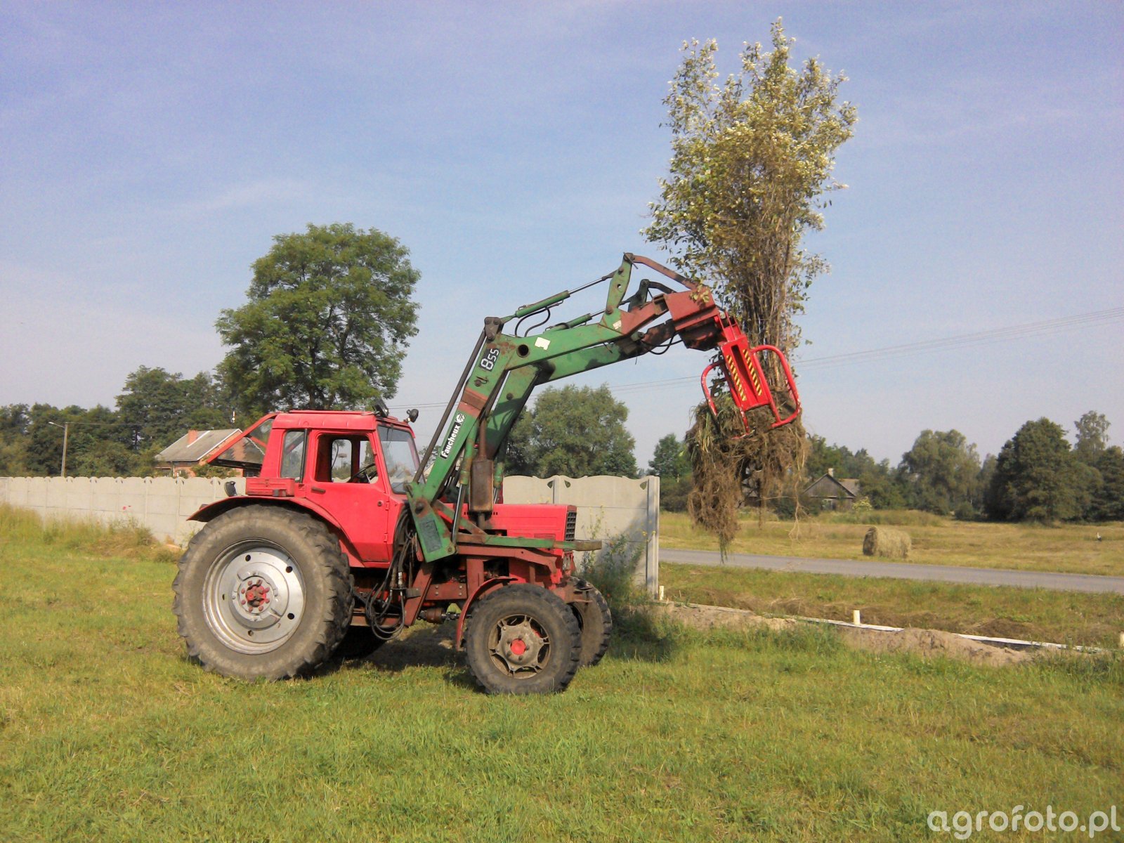 Fotografia traktor MTZ 82 #514253 - Galeria rolnicza agrofoto