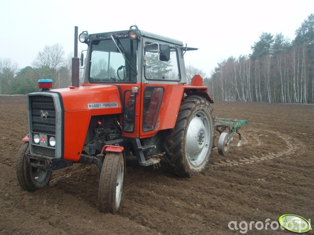 Fotografia ciagnik MF 590 #425378 - Galeria rolnicza agrofoto