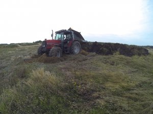 Massey Ferguson 6170 & BSS Brandys