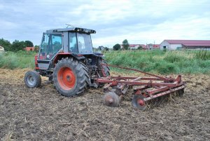 Massey Ferguson 3050 & talerzówka Souchu pinet 2m