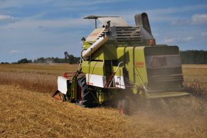 Claas Protector