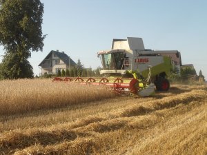 Claas Lexion
