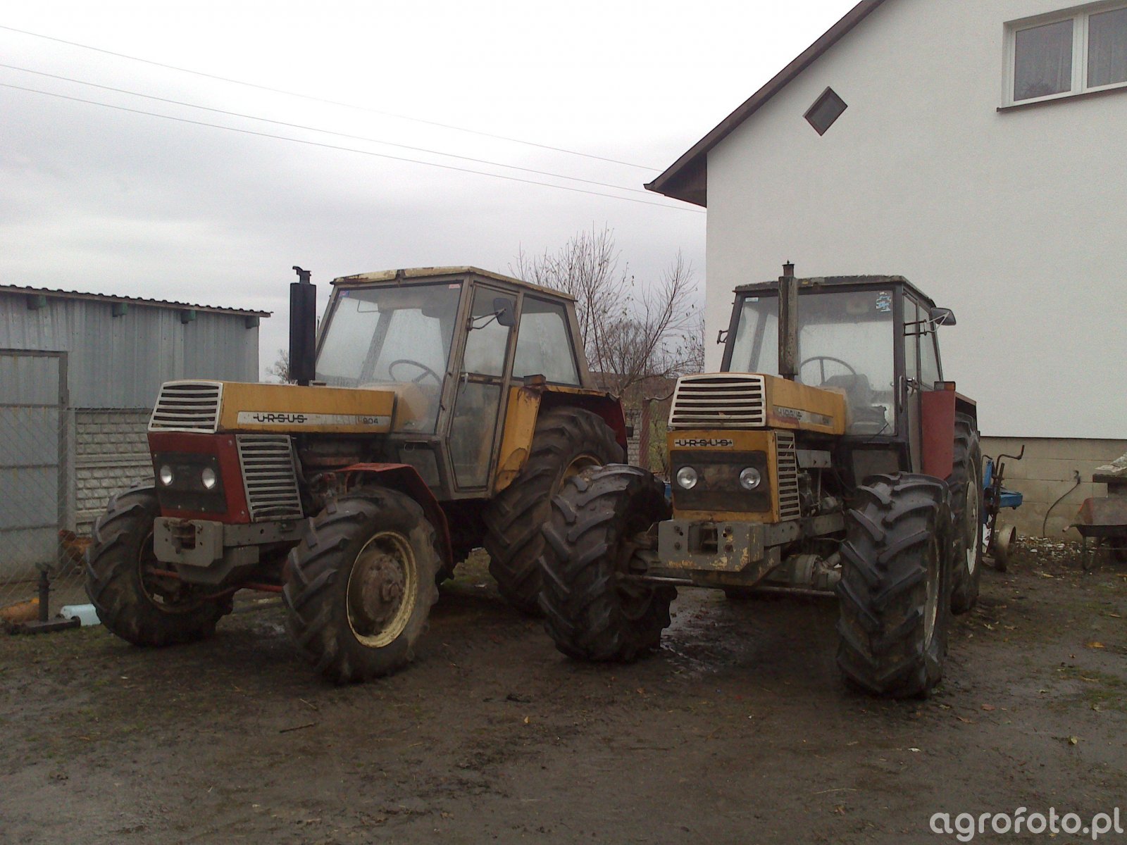 Foto ciagnik Ursus 904 & Ursus 1214 #462911 - Galeria rolnicza agrofoto