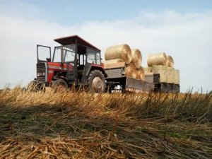 Massey Ferguson 255 + Autosan D - 45 + Autosan D - 44B .