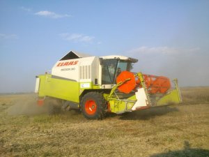 Claas Medion 310