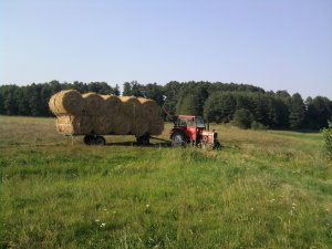 Massey Ferguson 255 + Platforma