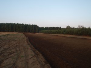 Ursus C-330+ pług 2 skibowy