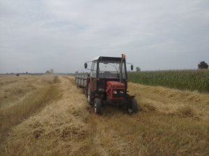 Zetor 5211 & przyczepa