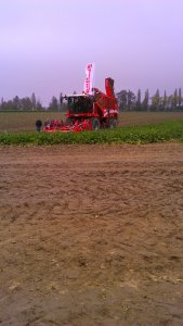 Grimme Rexor 630