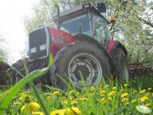 Massey Ferguson 3060