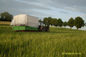 Ursus C-360 & Przyczepa