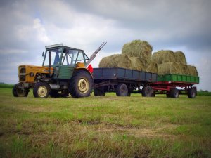 Ursus C-360 + przyczepy