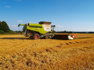 Claas Lexion 780 TT