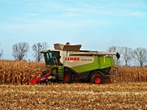 Claas Lexion 600