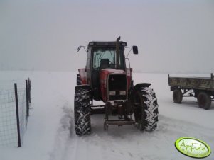 Massey Ferguson 3650