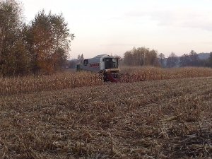 Claas Lexion 410 + przystawka gerighof
