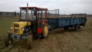 Ursus C-330 i rozrzutnik obornika