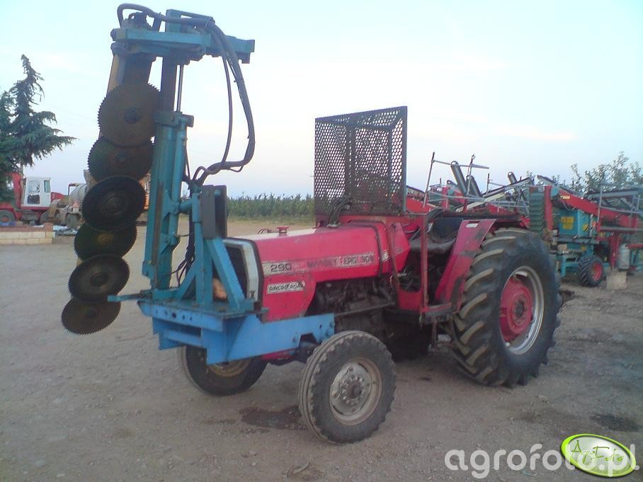 Massey Ferguson 290 & piła do przycinania drzewek