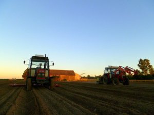 Zetor 7211 + Jarmet & Zetor 7745 + iT1600 + Poznaniak