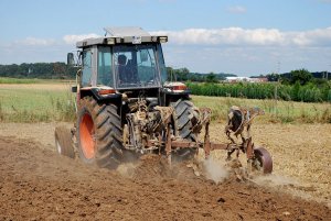 Massey Ferguson 3050 & Lemken OPAL 90