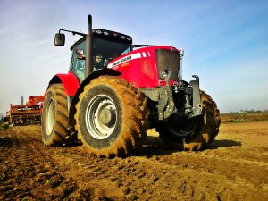 Massey Ferguson 6495