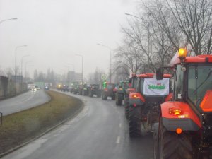 Strajk Biesiekierz 2014