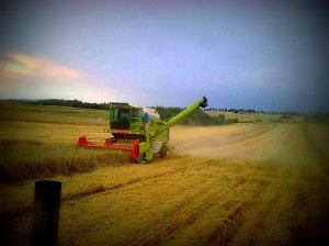 Claas Dominator 78