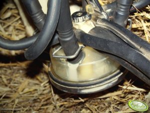 A mleko leje się litrami :)