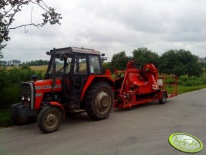 Massey ferguson 255 & Joanna 2