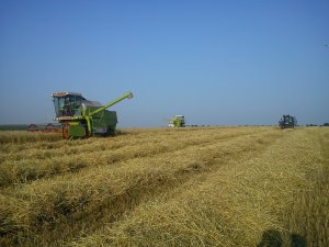 Claas Dominator 58 i 48