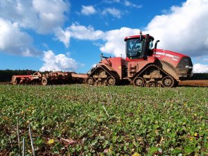 Case IH Quadtrac 500 + Horsch Tiger 6 LT