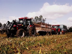 Case JX80 & Case CS 95 Pro