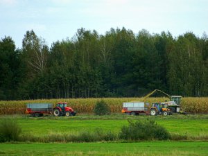 Zetor 11441 Forterra + IGAMET